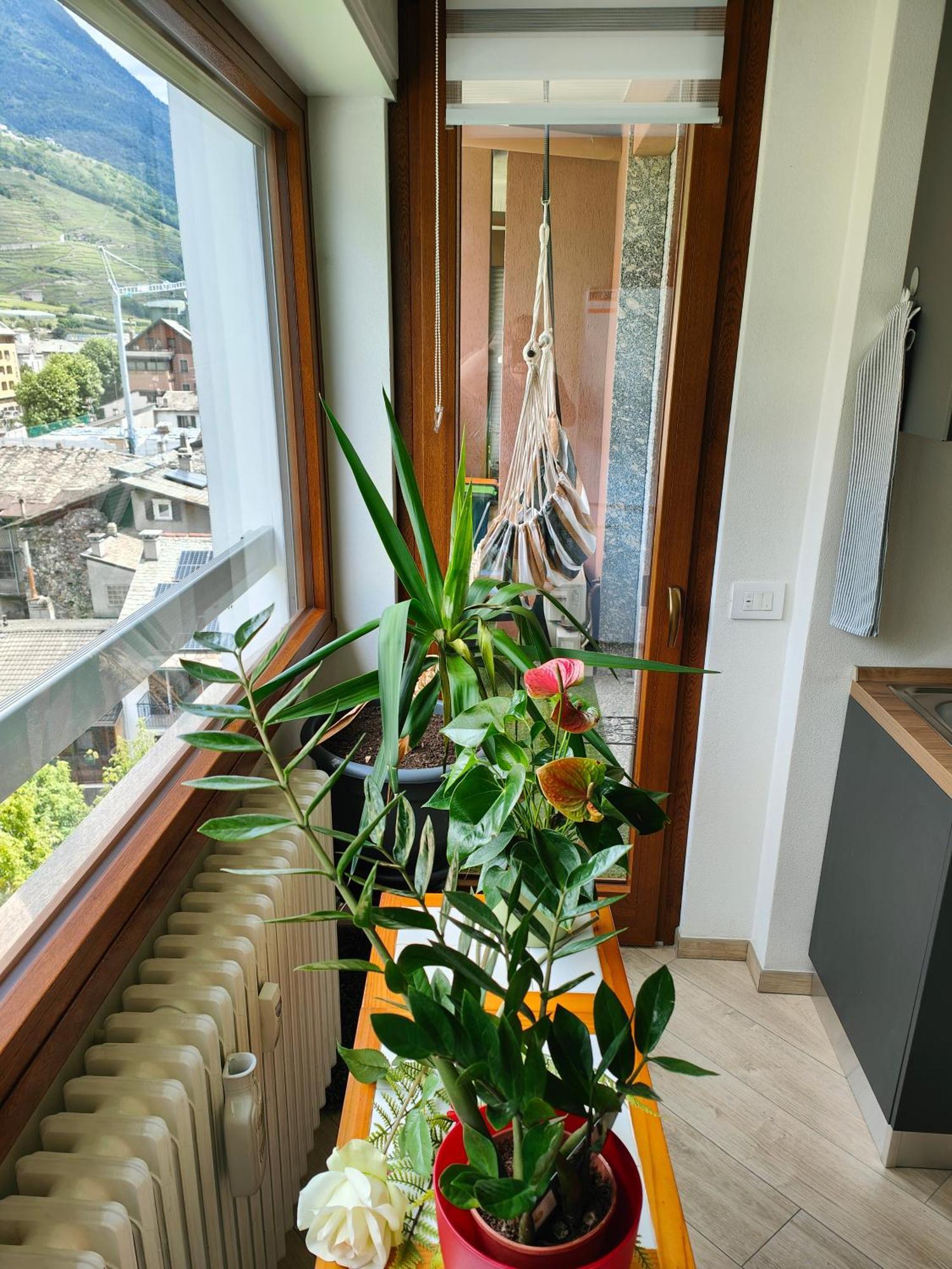 蒂拉诺Alfiumea公寓 外观 照片