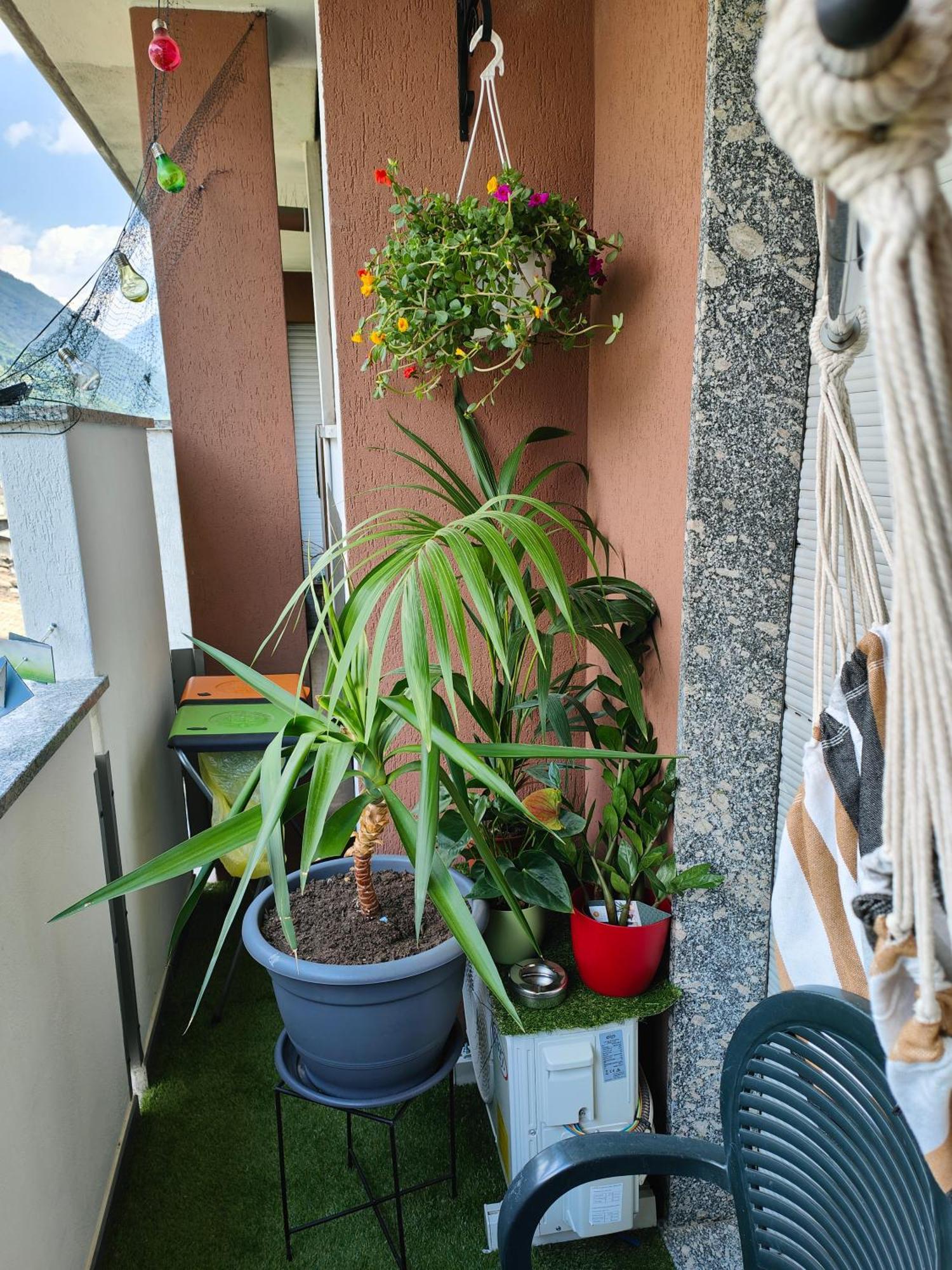 蒂拉诺Alfiumea公寓 外观 照片