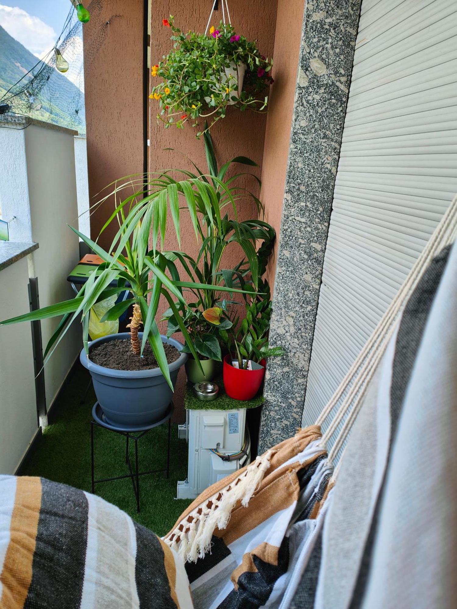 蒂拉诺Alfiumea公寓 外观 照片